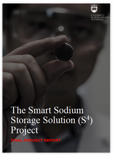 Smart Sodium Storage System Final Report